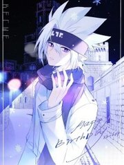 猫咪海外永久入口